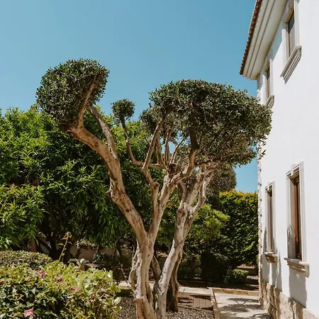 Villa Argaka Luxury